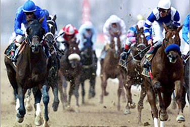 الحصان عطر دبي بقيادة الفارس فرانكي ديتوري (يسار) يفوز بسباق دربي الإمارات ضمن أشواط الكأس