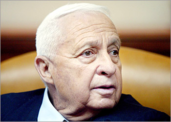 Israeli Prime Minister Ariel Sharon chairs the weekly cabinet meeting 04 July 2004 in Jerusalem. An Israeli and an armed Palestinian were shot dead in separate incidents in the north of the West Bank early Sunday, an Israeli army spokesman said. The latest deaths brought to 4,149 the number of people killed since the start of the intifada or uprising in September 2000, including 3,153 Palestinians and 924 Israelis. AFP PHOTO/Nir ELIAS-POOL