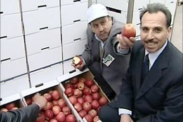 تقرير التفاح الأحمر في سوريا