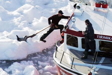 A sealer drags a seal off an ice pan in the Gulf of St. Lawrence March 25, 2006. Canadian hunters started shooting and clubbing harp seal pups on Saturday