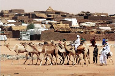 AFP - Sudanese men lead their camels 21 May 2006 at Abu Shouk camp, close to Al-Fasher, the capital of the war-torn Sudanese northern Darfur region. More than 50,000 internally