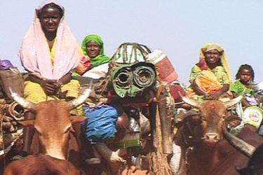 قبيلة المسيرية في السودان والمستقبل المجهول في أبيي- محمد فال- أبيي السودان