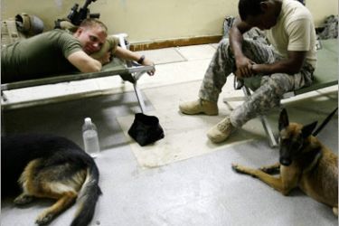 REUTERS/ U.S. soldiers from the Second Stryker Cavalry Regiment rest next dogs trained to sniff for explosives at the Diyala media center in Diyala province August 6, 2008. REUTERS/Andrea