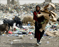 سيدة عراقية تجمع الكرتون من أحد مكبات القمامة قرب بغداد (الفرنسية)