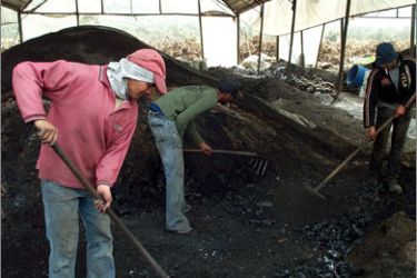عمال فلسطينيون في منجم للفحم بجنين