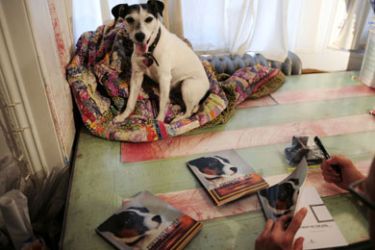 Sebastian Smith, Lifestyle-animal-art-offbeat Dog painting artist Tillamook Cheddar, or Tillie, a Jack Russell terrier, looks