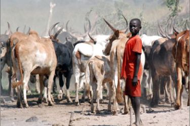 />A Sudanese boy rounds up cattle in a camp in the southern Sudanese settlement of Pochalla in the state of Jonglei on November 11, 2009