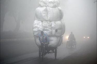 r_A worker carries goods on his tricycle amid heavy fog on the outskirts of New Delhi January 20, 2010. Indian food prices will cool off in 1-2 months and inflation will turn around