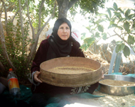  فاطمة حمد تزرع أصنافا مختلفة من البذور البلدية