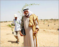 مزارع فلسطيني يحمل شجرة زيتون ويحاول الاقتراب من أرضه لإعادة زراعتها (الجزيرة نت)