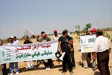فلسطيينون ومتضامن اجنبي في فعالية للتضامن مع المزراعين من خلال حملة لاعادة زراعة الارض بعد تجربفها من قبل الاحتلال شمال شرق رفح