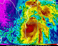 صورة بالاقمار الصناعية لعاصفة هرمين (اللون البني) لدى اقترابها من خليج المكسيك (الفرنسية)