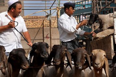A merchant of the Islamic Uighur ethnic group unloads sheep from the back of a truck to be sold at the animal bazaar in Kashgar, China's Xinjiang Uighur Autonomous Region, 06 September 2009. Xinjiang, meaning 'New Frontier' in Chinese, is also known as Chinese Turkestan and has historically been a politically sensitive region for the Chinese government due to a separatist sentiment there.