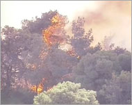 الحرائق التهمت لحد الآن خمسة ملايين شجرة   (الجزيرة)