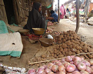 فاطمة عمر تبيع الخضراوات في الهواء الطلق(الجزيرة نت) 