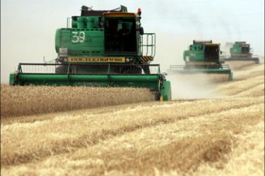 r : Employees operate combines to harvest wheat at a field near the village of Konstantinovskoye, some 60 km (37 miles) northeast of Russia's southern city of Stavropol July 21, 2011. Russia expects to reprise its role as a leading