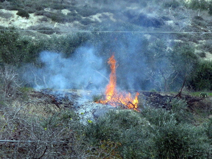 ‪المستوطنون يحرقون عشرات الدونمات من أراضي المواطنين‬ (الجزيرة نت)