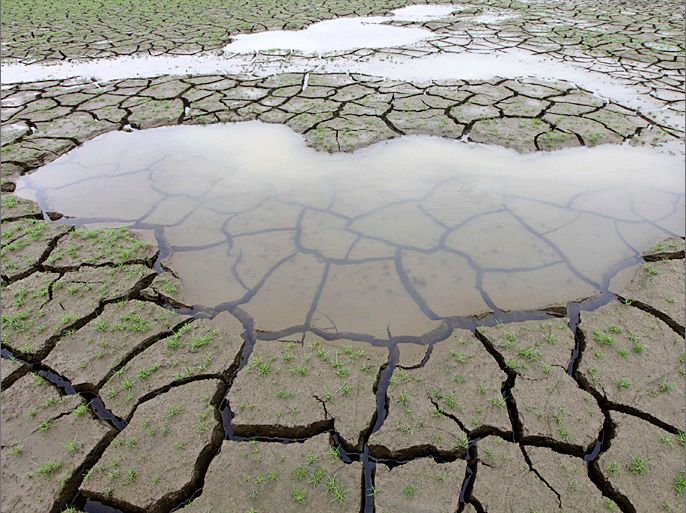 A puddle is seen after rains that began late Friday wet the bottom of a reservoir with grass grown over it, after a drought, in Ganghwa, some 60 km (37 miles) west of Seoul June 30, 2012. The drought was the worst in a century, according to local media. REUTERS/Woohae Cho (SOUTH KOREA - Tags: ENVIRONMENT AGRICULTURE SOCIETY)