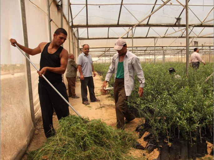 انتربال تدعم المزارعين في قطاع غزة
