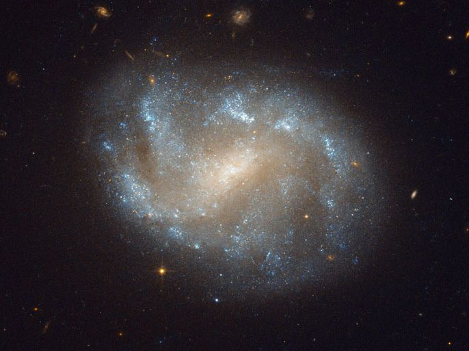 handout image made available by NASA's Hubble Space Telescope 09 March 2012 showing the galaxy NGC 1483. NGC 1483 is a barred spiral galaxy located in the southern constellation of Dorado — the dolphinfish (or Mahi-mahi fish) in Spanish. The nebulous galaxy features a bright central bulge and diffuse arms with distinct star-forming regions. In the background, many other distant galaxies can be seen. The constellation Dorado is home to the Dorado Group of galaxies, a loose group comprised of an estimated 70 galaxies and located some 62 million light-years away. The Dorado group is much larger than the Local Group that includes the Milky Way (and which contains around 30 galaxies) and approaches the size of a galaxy cluster. Galaxy clusters are the largest groupings of galaxies (and indeed the largest structures of any type) in the universe to be held together by their gravity. Barred spiral galaxies are so named because of the prominent bar-shaped structures found in their center. They form about two thirds of all spiral galaxies, including the Milky Way. Recent studies suggest that bars may be a common stage in the formation of spiral galaxies, and may indicate that a galaxy has reached full maturity. EPA/ESA/Hubble & NASA / HANDOUT EDITORIAL USE ONLY