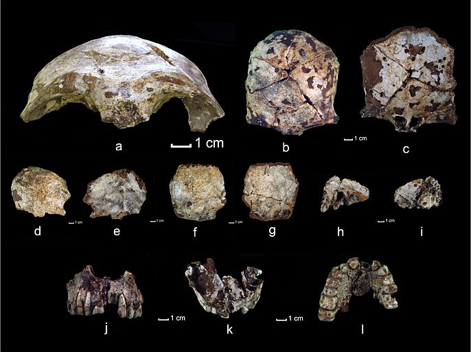 This August 20, 2012 handout image provided by The University of Ilinois at Urbana-Champaign shows fragments from a skull recovered from a cave in the Annamite Mountains in northern Laos is the oldest modern human fossil found in Southeast Asia. Researchers date the fragments to 63,000 years ago. AFP PHOTO/HANDOUT/Laura Shackelford = NO ARCHIVES = GETTY OUT = RESTRICTED TO EDITORIAL USE - MANDATORY CREDIT " AFP PHOTO / Laura Shackelford/Univ. Illinois/Urbana Champaign " - NO MARKETING NO ADVERTISING CAMPAIGNS - DISTRIBUTED AS A SERVICE TO CLIENTS = Embargoed for release: 20-Aug-2012 15:00 ET