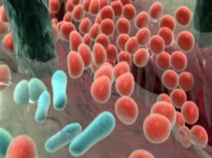 البكتيريا في أمعاء جسم الإنسان: وظائف حيوية وأنواع لا حصر لها