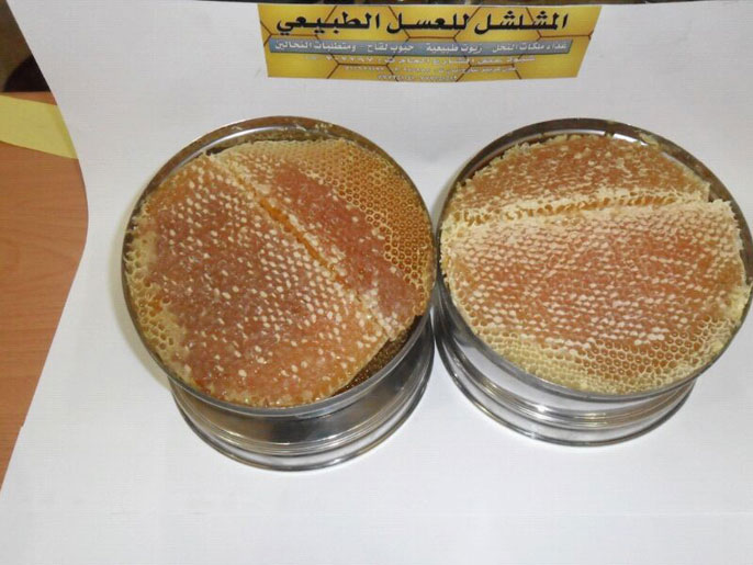 ‪‬ طريقة جمع العسل من الشمع(الجزيرة نت)