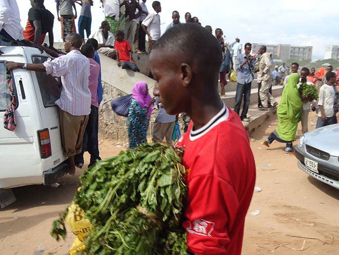طفل يحمل رزما من القات نوع ميرا المستورد من كينيا إلى السوق.