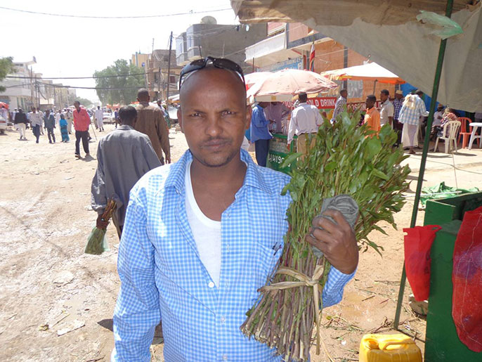 أحد البائعين في هرغيسا وعنده هاراري نوع القات المستورد من إثيوبيا.