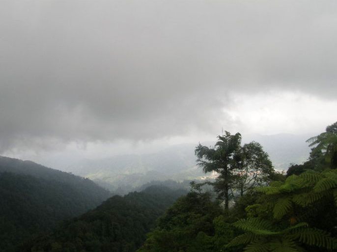 الغابات الاستوائية أو غابات المطر أو الغابات المطرية - مليزيا تصوير: أحمد الجنابي