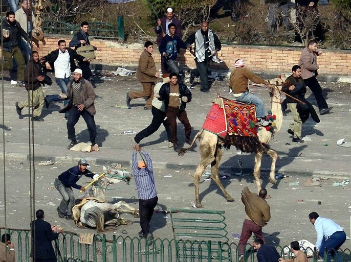 FILE) A file photograph dated 02 February 2011, shows a horse falling down and a camel riding by, as supporters and opponents of Egypt's former President Hosni Mubarak fight against each other with sticks and stones at the Tahrir Square in Cairo, Egypt.On 11 September 2011, began the trial of 25 former officials and politicians charged with masterminding what is known as the 'camel attack' upon anti-government demonstrators earlier this year. The defendants allegedly organized gangs of horse and camel riders, who attacked protesters camped out in Cairo's Tahrir Square last February as they demonstrated against the regime of former president Hosni Mubarak, who was eventually driven from power. Former speakers of both houses of the Egyptian parliament, Safwat al-Sherif and Ahmed Fathi Sorour, are among other close associates of Mubarak, and members of his now-disbanded party who face trial.