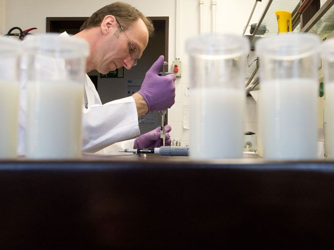 epa03607336 Chemical engineer Dirk Siekmeier tests raw milk samples at the Lower Saxony State Office of Consumer Protection and Food Safety (LAVES) in Hanover, Germany, 02 February 2013. German authorities on 02 March started with the examination of milk samples that might be polluted with a mold fungus. Some 45,000 tons of animal feed imported from Serbia on 28 February was found to have been contaminated with a mold that can cause cancer. Federal authorities in Berlin said the feed made from maize for pigs, cattle and chickens contains more than the legal level of aflatoxin B1, a carcinogenic substance found in natural molds which can be passed to humans through cows' milk. EPA/JULIAN STRATENSCHULTE