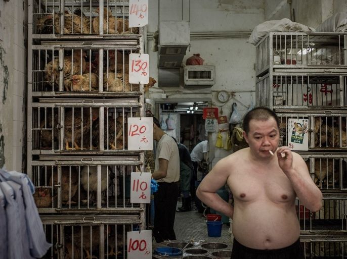 A man smokes a cigarettes next to price tags displayed on the cages of live chickens in a poultry market in Hong Kong on May 24, 2013. According to local reports, the H7N9 bird flu virus can be transmitted not only through close contact but by airborne exposure, a team at the University of Hong Kong found after extensive laboratory experiments.
