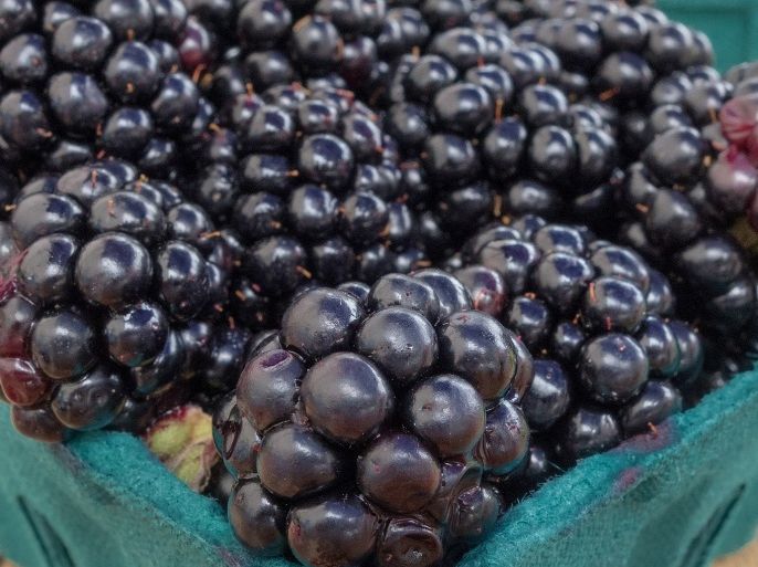 Black berries are seen for sale at a local Farmers Market in Annandale, Virginia, August 8, 2013.