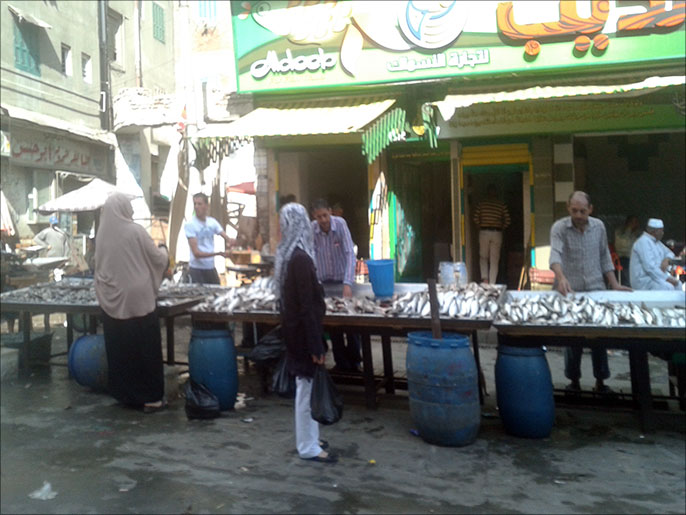 سوق السمك بدمياط يعتمد على عزبة البرج كمصدر أساسي للأسماك (الجزيرة نت)