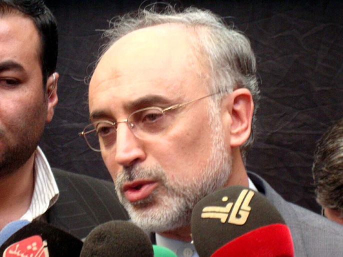 أكبر صالحي أكد موافقة طهران على تعديل مفاعل أراك (الأوروبية-أرشيف)