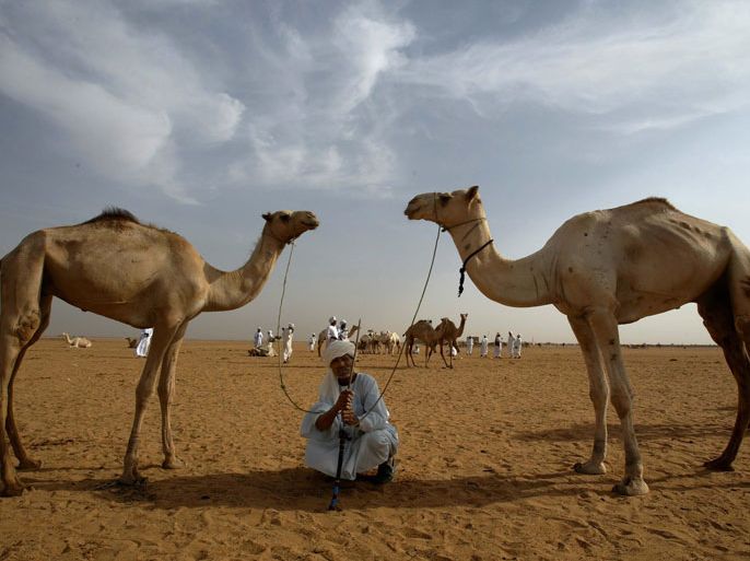 A Sudanese camel merchant sits in the shadow cast by his camels as he waits for a buyer at the camel market in Muweikh, 30 kms from Khartoum, Sudan 25 October 2003. The market is held on Saturday and Wednesday and a full grown camel can sell for as much as 500 US dollars. EPA/MIKE NELSON