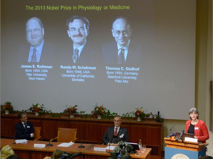epa03900382 US James Rothman and US Randy Schekman plus German-born researcher Thomas Suedhof have been named as winners of the 2013 Nobel Prize in medicine the Karolinska Institute announced in Stockholm, Sweden, 07 October 2013. The Nobel committee cited 'their discoveries of machinery regulating vesicle traffic, a major transport system in our cells.' EPA/JANERIK HENRIKSSON / TT SWEDEN OUT