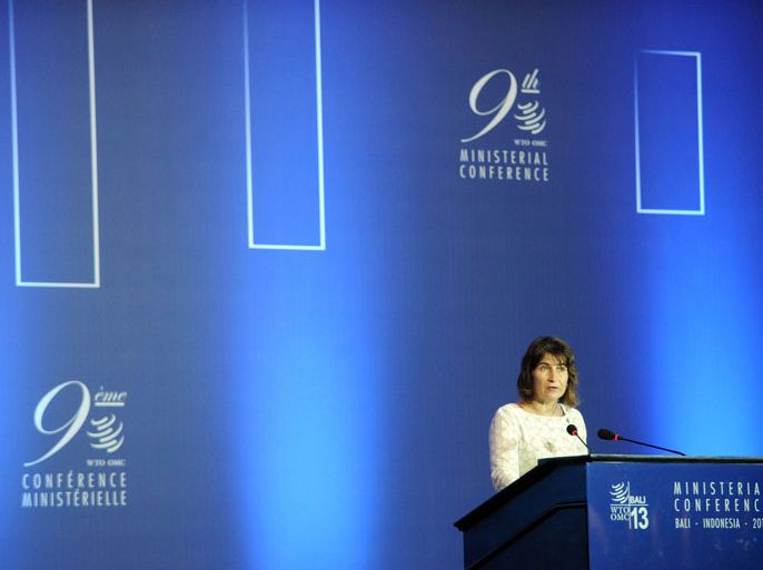 SON300 - Denpasar, BALI, INDONESIA : Nederland's Minister of Foreign Trade and Development Cooporation Liliane Ploumen, delivers a speech during a plenary session at the WTO (World Trade Organisation) conference in Nusa Dua, on the Indonesian resort island of Bali on December 5, 2013. The WTO launched a frantic drive on December 3 to salvage its floundering efforts to liberalise global trade at a summit laced with potential make-or-break implications for the body's global influence. AFP PHOTO/Sonny Tumbelaka