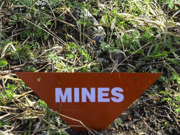 SARAJEVO, BOSNIA AND HERZEGOVINA - APRIL 5 : A landmine is seen as members of Bosnia and Herzegovina Mine Action Centre (BHMAC) clear landmines at a minefield, in Sarajevo, Bosnia and Herzegovina on April 5, 2015. On UNs International Day of Mine Awareness, Bosnia and Herzegovina estimates that 1,176 square kilometers of its territory remains infested with around 120,000 mines.