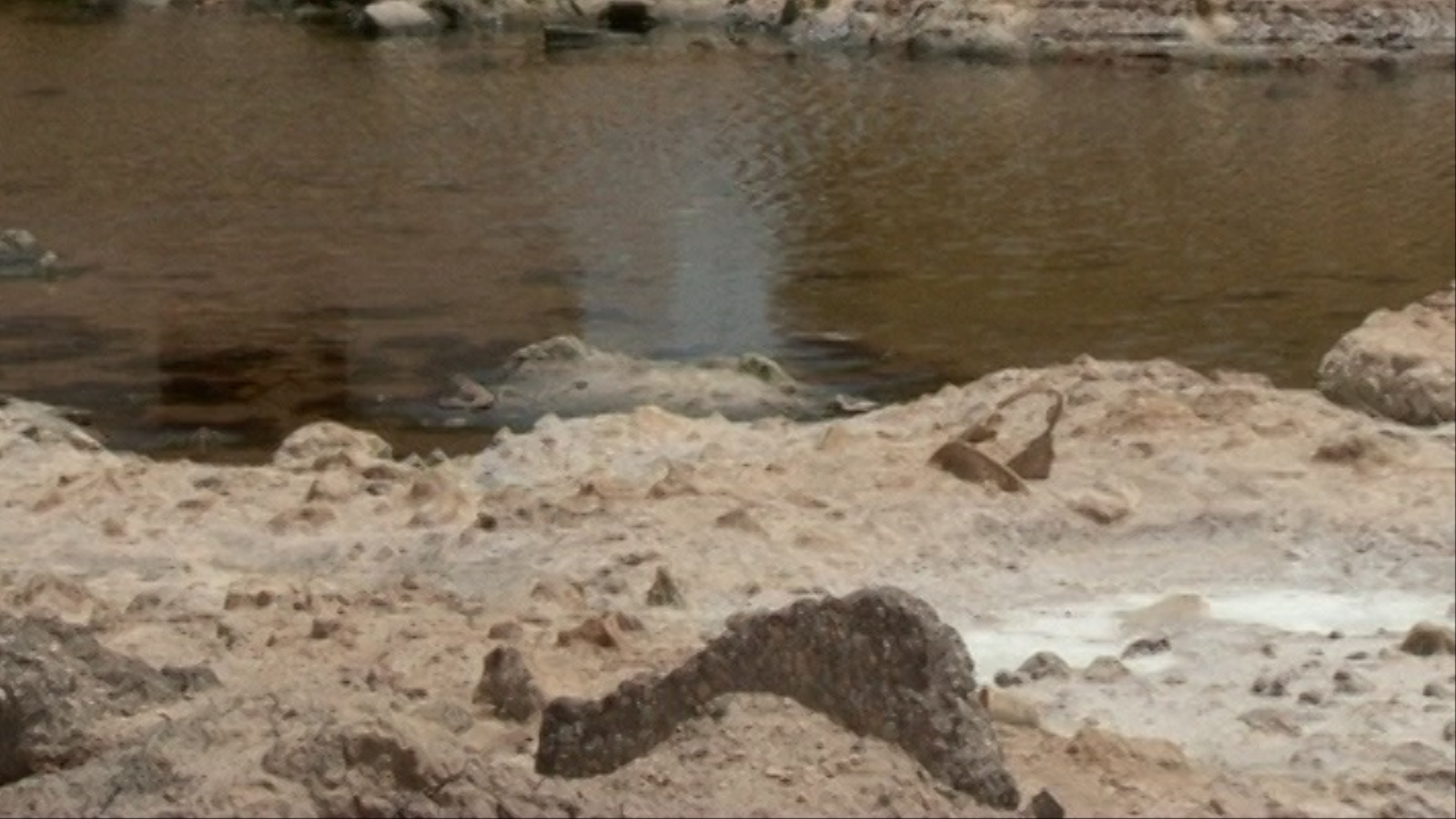تلوث المياه تسبب بمئات الحالات المرضية بالأهوار (الجزيرة)