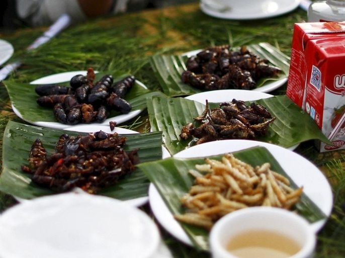 People look at plates of cooked insects at a park during an ethnic Hani minority event on the day before the summer solstice, in Mojiang, Yunnan province, China, June 21, 2015. Hani minority residents in Yunnan usually get together and mark the summer solstice by eating cooked arthropods including scorpions, centipedes, cockroaches, cicadas. Picture taken June 21, 2015. REUTERS/Wong Campion