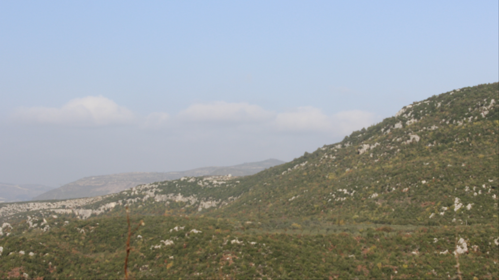 ‪استعادة جبل الزاهية أول أهداف المعارضة في ريف اللاذقية‬ (الجزيرة نت)