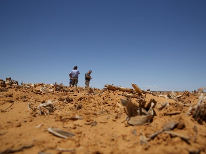 Farmers chat near dried maize at a field in Wesselsbron, a small maize farming town in the Free State province of South Africa, January 13, 2016. About 14 million people face hunger in Southern Africa because of a drought that has been exacerbated by an El Nino weather pattern, the United Nations World Food Programme (WFP) said on January 18. Picture taken January 13. REUTERS/Siphiwe Sibeko