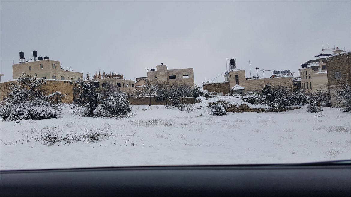 الخليل-فلسطين 26/27 يناير 2016 صور من الثلوج في مدينة الخليل جنوب الضفة الغربية (تصوير: عوض الرجوب-الجزيرة نت)
