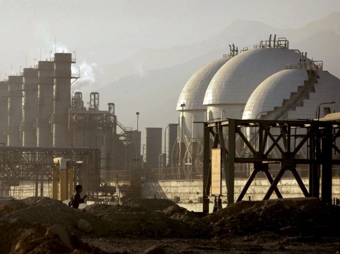 A view of a petrochemical complex in Assaluyeh on Iran's Persian Gulf coast in this May 28, 2006 file photo. To match IRAN-OIL/POLITICS REUTERS/Morteza Nikoubazl/Files