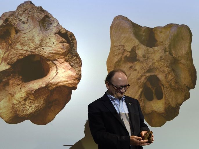 Hans-Dieter Sues, chair of the Department of Paleobiology at the Smithsonian's National Museum of Natural History, holds a vertebra fossil from a new dinosaur, Timurlengia euotica, during a news conference in Washington, Monday, March 14, 2016. The image in the background is of the braincase of the Timurlengia euotica. The bones of a previously unknown member of the evolutionary branch that led to the huge tyrannosaurs were found Uzbekistan. This earlier dinosaur lived about 90 million years ago, south of what is now the Aral Sea. It looked roughly like a T. rex, but was only about 10 to 12 feet long and weighed only about 600 pounds at most, Sues said. (AP Photo/Susan Walsh)