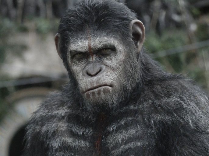 Actor Andy Serkis is seen in his role as ape Caesar from the upcoming film "Dawn of the Planet of the Apes" in this publicity photo released to Reuters June 30, 2014. For the film, opening in U.S. theaters this weekend, director Matt Reeves says he pushed the boundaries of motion capture to achieve "photo-reality" in rendering the apes, particularly in their facial expressions. To match Feature FILM-MOTIONCAPTURE/APES REUTERS/Weta/20th Century Fox/Handout via Reuters (UNITED STATES - Tags: ENTERTAINMENT SOCIETY SCIENCE TECHNOLOGY) ATTENTION EDITORS - THIS PICTURE WAS PROVIDED BY A THIRD PARTY. REUTERS IS UNABLE TO INDEPENDENTLY VERIFY THE AUTHENTICITY, CONTENT, LOCATION OR DATE OF THIS IMAGE. FOR EDITORIAL USE ONLY. NOT FOR SALE FOR MARKETING OR ADVERTISING CAMPAIGNS. THIS PICTURE IS DISTRIBUTED EXACTLY AS RECEIVED BY REUTERS, AS A SERVICE TO CLIENTS. NO SALES. NO ARCHIVES