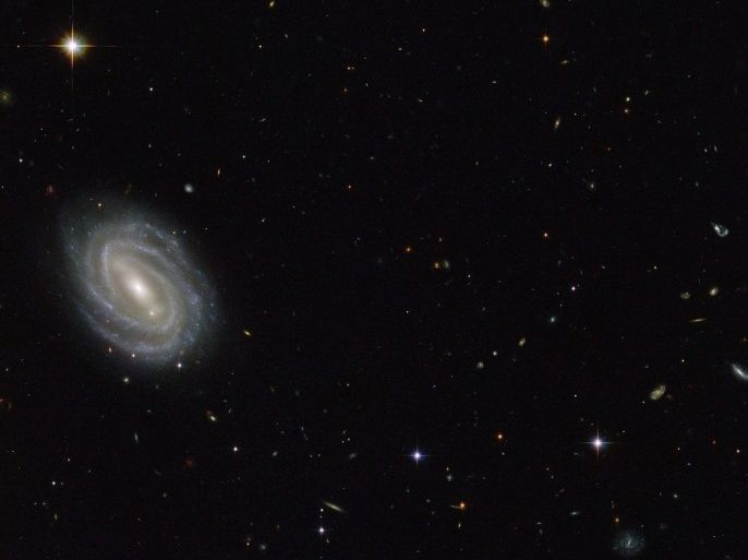 An undated handout picture made available by NASA on 08 September 2014 shows a NASA and European Space Agency (ESA) Hubble Space Telescope image of a spiral galaxy known as PGC 54493, located in the constellation of Serpens (The Serpent). This galaxy is part of a galaxy cluster that has been studied by astronomers exploring an intriguing phenomenon known as weak gravitational lensing. This effect, caused by the uneven distribution of matter (including dark matter) throu
