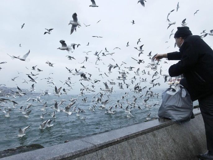 A man feeds seagulls near the Bosphorus on a rainy day in Istanbul, Turkey, 12 February 2015. The largest city in Turkey, straddling Europe and Asia lies between the Sea of Marmara and the Black Sea, experiences something between a Mediterranean and oceanic climate.